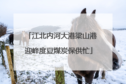 江北内河大港梁山港迎峰度夏煤炭保供忙