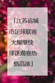 江苏省城市足球联赛火爆继续 球迷观赛热情高涨