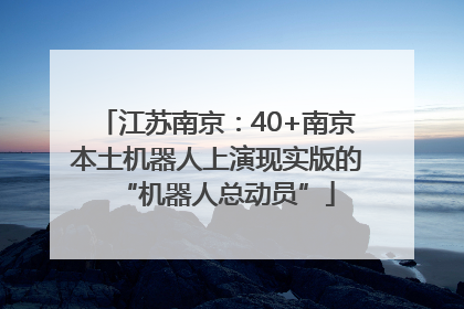 江苏南京：40+南京本土机器人上演现实版的“机器人总动员”