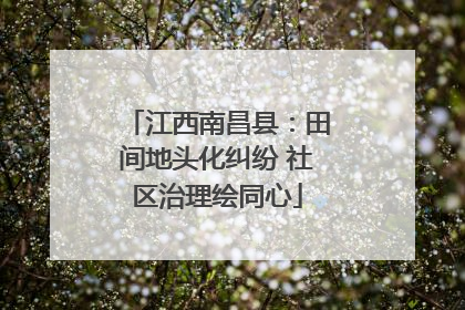 江西南昌县：田间地头化纠纷 社区治理绘同心