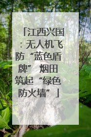 江西兴国：无人机飞防“蓝色盾牌” 烟田筑起“绿色防火墙”