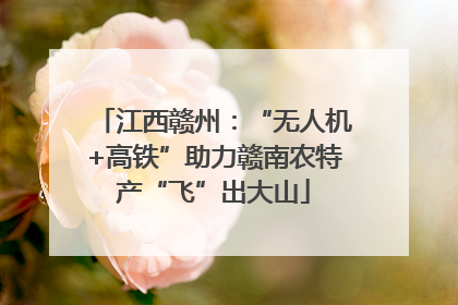 江西赣州：“无人机+高铁”助力赣南农特产“飞”出大山