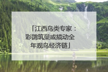 江西鸟类专家：彩鹮筑巢或撬动全年观鸟经济链