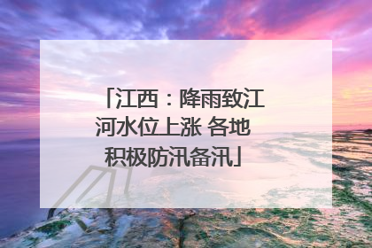 江西：降雨致江河水位上涨 各地积极防汛备汛