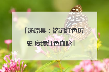 汤原县：铭记红色历史 赓续红色血脉