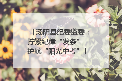 汤阴县纪委监委：拧紧纪律“发条” 护航“阳光中考”