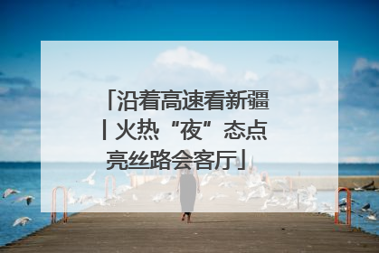 沿着高速看新疆丨火热“夜”态点亮丝路会客厅