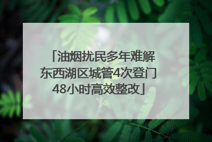 油烟扰民多年难解 东西湖区城管4次登门48小时高效整改