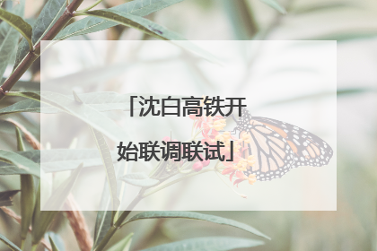 沈白高铁开始联调联试