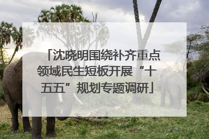 沈晓明围绕补齐重点领域民生短板开展“十五五”规划专题调研
