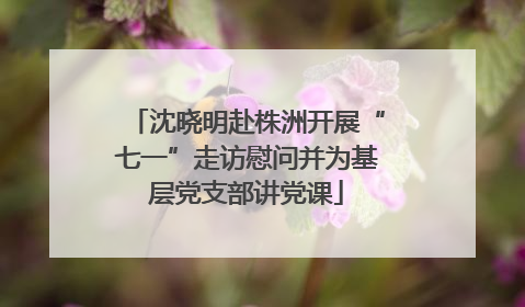 沈晓明赴株洲开展“七一”走访慰问并为基层党支部讲党课