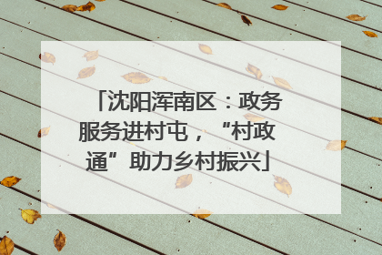 沈阳浑南区：政务服务进村屯，“村政通”助力乡村振兴