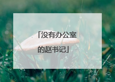 没有办公室的赵书记