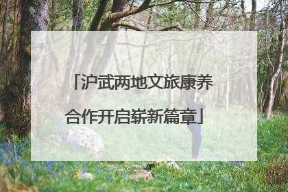 沪武两地文旅康养合作开启崭新篇章