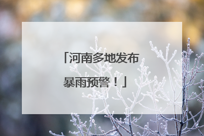 河南多地发布暴雨预警！