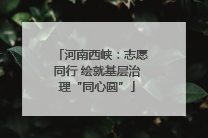 河南西峡：志愿同行 绘就基层治理“同心圆”