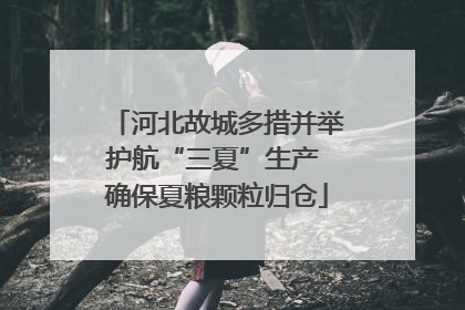 河北故城多措并举护航“三夏”生产 确保夏粮颗粒归仓