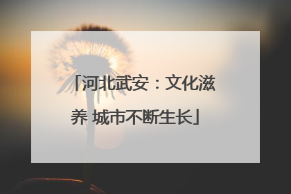 河北武安：文化滋养 城市不断生长