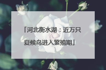 河北衡水湖：近万只夏候鸟进入繁殖期