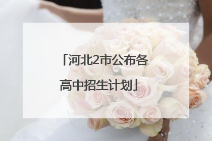 河北2市公布各高中招生计划