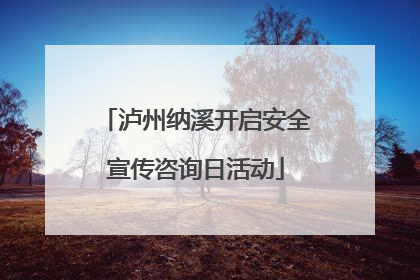 泸州纳溪开启安全宣传咨询日活动