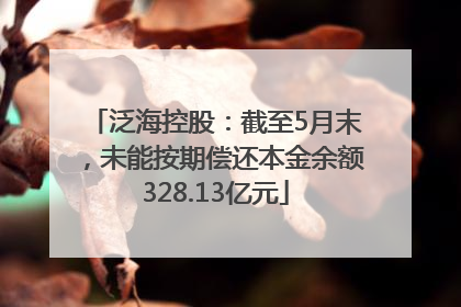 泛海控股：截至5月末，未能按期偿还本金余额328.13亿元