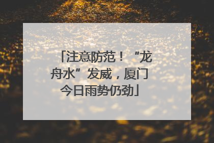 注意防范！“龙舟水”发威，厦门今日雨势仍劲