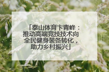 泰山体育卞青峰：推动高端竞技技术向全民健身装备转化，助力乡村振兴