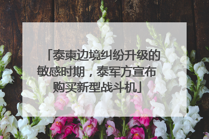 泰柬边境纠纷升级的敏感时期，泰军方宣布购买新型战斗机