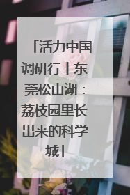 活力中国调研行丨东莞松山湖：荔枝园里长出来的科学城