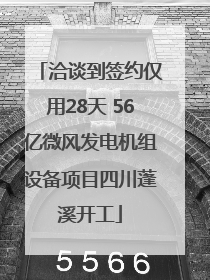 洽谈到签约仅用28天 56亿微风发电机组设备项目四川蓬溪开工