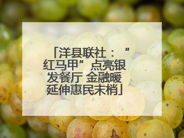 洋县联社：“红马甲”点亮银发餐厅 金融暖延伸惠民末梢