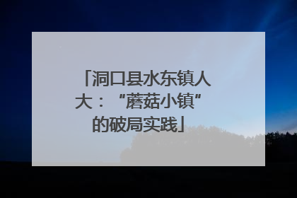 洞口县水东镇人大：“蘑菇小镇”的破局实践