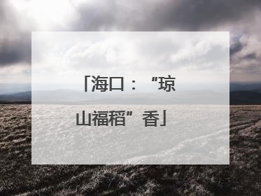 海口：“琼山福稻”香