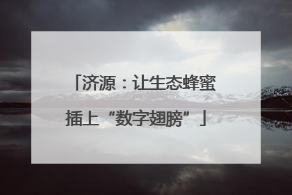 济源：让生态蜂蜜插上“数字翅膀”