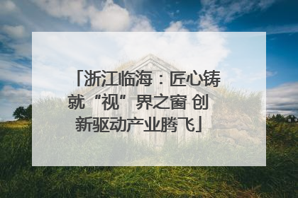 浙江临海：匠心铸就“视”界之窗 创新驱动产业腾飞