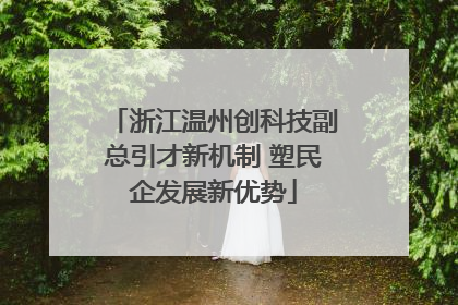 浙江温州创科技副总引才新机制 塑民企发展新优势