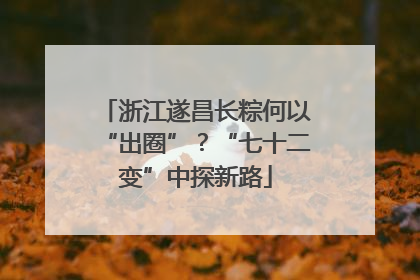 浙江遂昌长粽何以“出圈”？“七十二变”中探新路