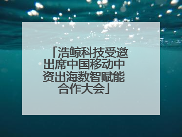 浩鲸科技受邀出席中国移动中资出海数智赋能合作大会