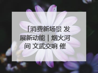 消费新场景 发展新动能｜烟火河间 文武交响 催生“美食+文化”消费新场景