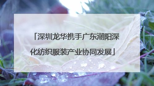 深圳龙华携手广东潮阳深化纺织服装产业协同发展