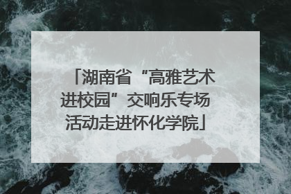 湖南省“高雅艺术进校园”交响乐专场活动走进怀化学院