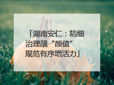 湖南安仁：精细治理靓“颜值” 规范有序增活力