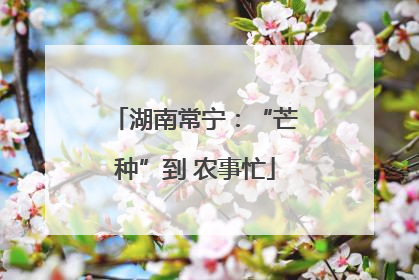 湖南常宁：“芒种”到 农事忙