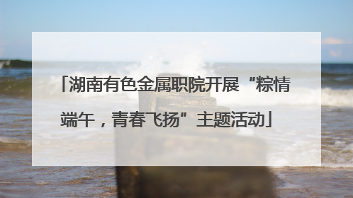 湖南有色金属职院开展“粽情端午，青春飞扬”主题活动