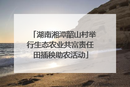 湖南湘潭韶山村举行生态农业共富责任田插秧助农活动
