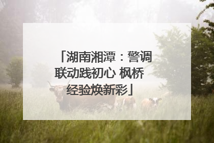 湖南湘潭：警调联动践初心 枫桥经验焕新彩