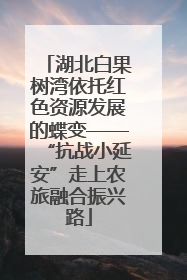 湖北白果树湾依托红色资源发展的蝶变——“抗战小延安”走上农旅融合振兴路