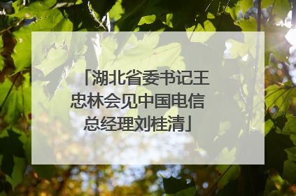 湖北省委书记王忠林会见中国电信总经理刘桂清