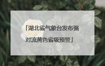 湖北省气象台发布强对流黄色省级预警
